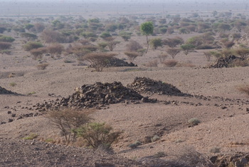 Al Saleel Natural Park Reserve