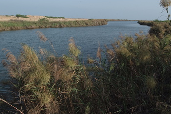 محمية خور الدهاريز