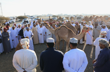 ولاية سناو