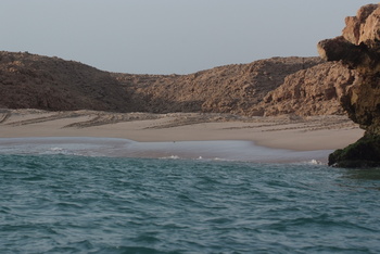 Schildkrötenreservat – Gouvernement Al Sharqiyah Süd (Ras Al Hadd)
