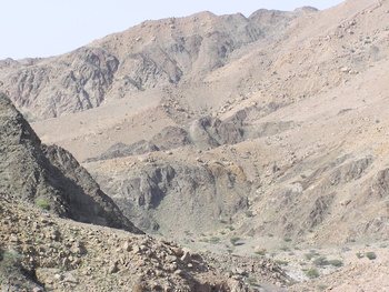 محمية جبل قهوان الطبيعية