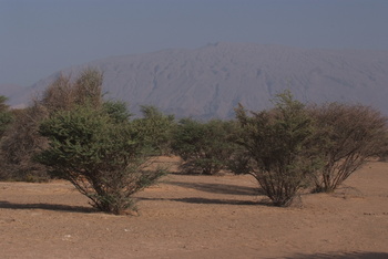 حديقة السليل الطبيعية