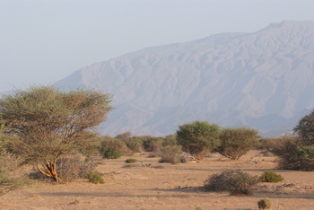 Al Saleel Natural Park Reserve