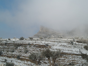 محمية الجبل الاخضر للمناظر الطبيعية