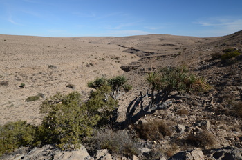 محمية جبل سمحان