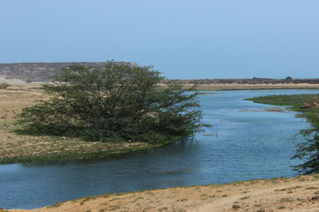 محمية خور روري