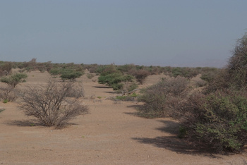 Parc naturel d\'Al Saleel