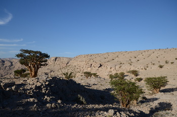 محمية جبل سمحان