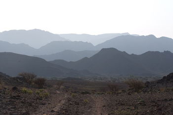 Parc naturel d\'Al Saleel