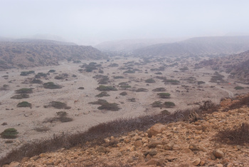 محمية جبل سمحان