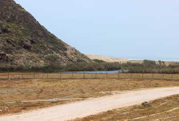 محمية خور المغسيل