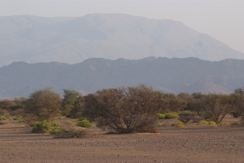 Al Saleel Natural Park Reserve
