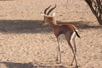 Parc naturel d\'Al Saleel