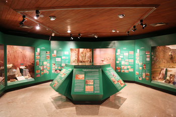 Musée d’Histoire naturelle