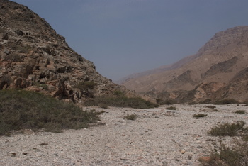 محمية جبل سمحان