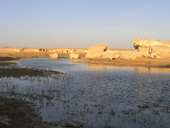 محمية الاراضي الرطبة