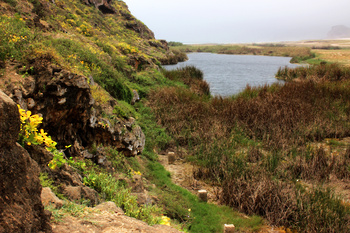 محمية خور المغسيل
