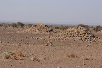 Al Saleel Natural Park Reserve
