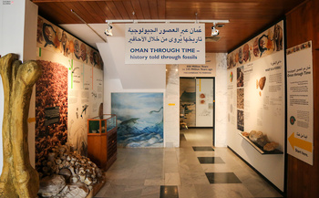 Musée d’Histoire naturelle