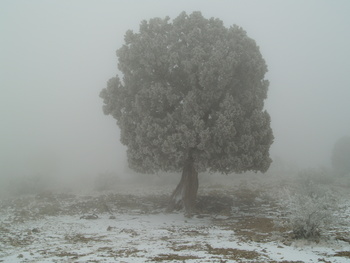محمية الجبل الاخضر للمناظر الطبيعية