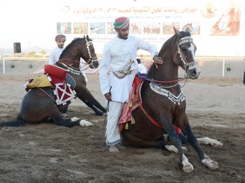 الرياضات التقليدية