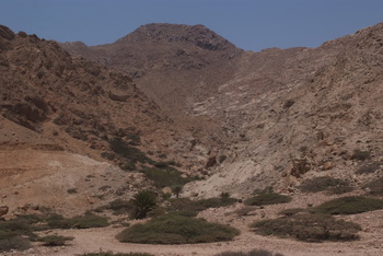 محمية جبل سمحان