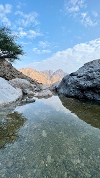 محمية السرين الطبيعية