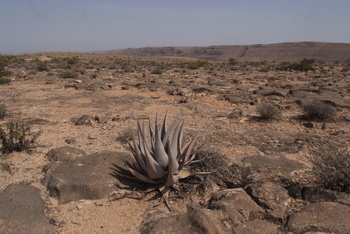 محمية جبل سمحان