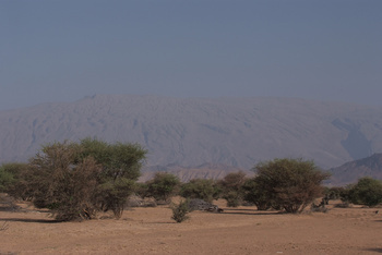 Parc naturel d\'Al Saleel
