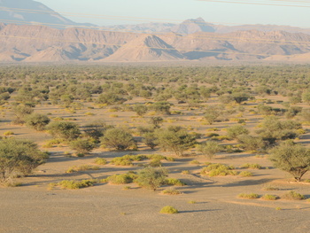 Al Saleel Natural Park Reserve