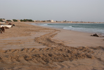 Réserve des tortues dans le gouvernorat d’Al Sharqiya Sud, Ras Al Hadd