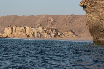 Réserve des tortues dans le gouvernorat d’Al Sharqiya Sud, Ras Al Hadd