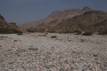 Reserva de Jabal Samhan
