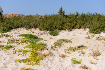 Daymaniyat Islands Nature Reserve