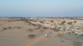 La Reserva Natural de Ras Al Shajar – Qurayyat