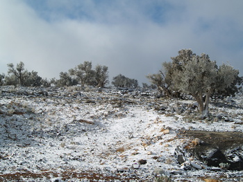 Reserva de Al Jabal Al Akhdar para Paisajes Naturales 