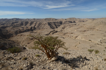 Réserve du Jabal Samhan  