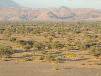 Reserva Natural de Al Saleel