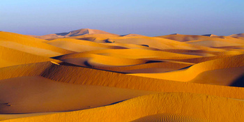 Sables de Wahiba 
