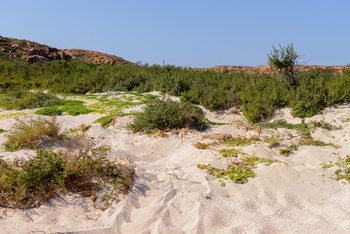 Daymaniyat Islands Nature Reserve
