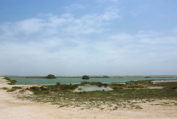 Reserva de Khor Dahariz