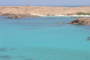 Réserve naturelle des îles Dimaniyat