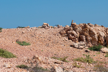 Réserve naturelle des îles Dimaniyat