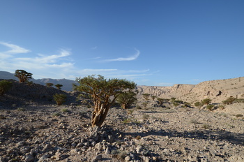 Réserve du Jabal Samhan  