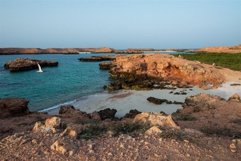Wildlife in Oman