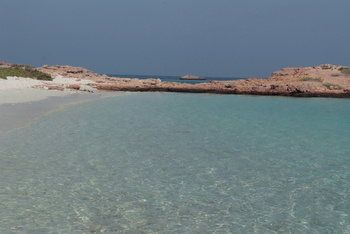 Reserva Natural de las Islas Daymaniyat