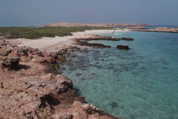 Reserva Natural de las Islas Daymaniyat