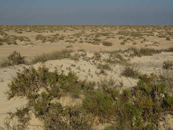 Réserve de zones humides