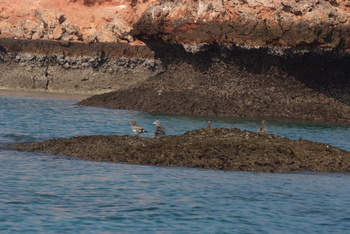 Daymaniyat Islands Nature Reserve