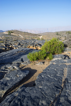 Al Jabal Al Gharbi Starlight Reserve